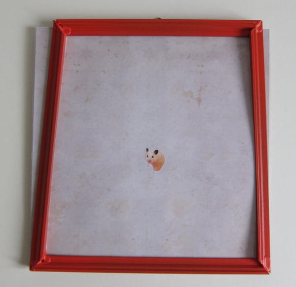 Selbstportrait als verschreckter Hamster